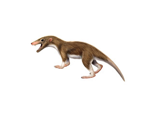 Ancient mammal Megazostrodon