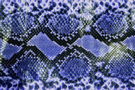 Snake skin pattern background