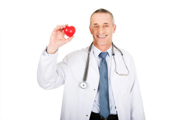 Portrait of male doctor holding heart model