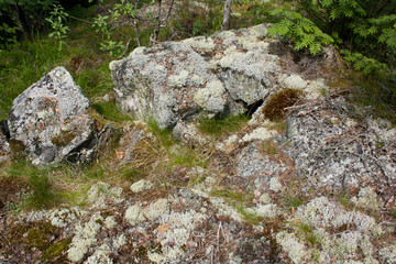 Rocky hill in Republic of Karelia, Russia 