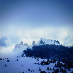 Fototapeta premium landscape