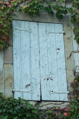 Volets entourés de vigne en automne