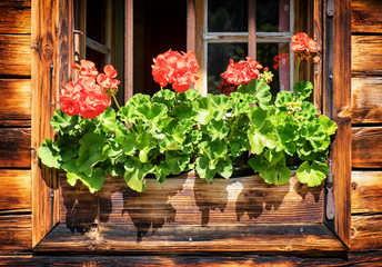 Fototapeta premium old window