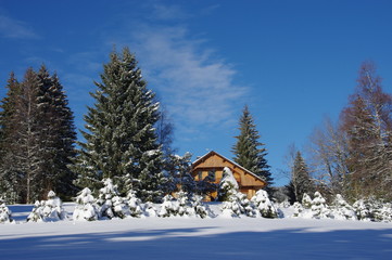 chalet sous la neige