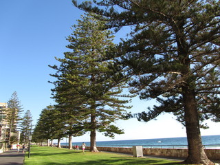Strand von Adelaide