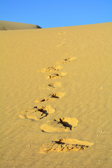 Dunes of Corralejo, Fuerteventura, Canary Islands, Spain