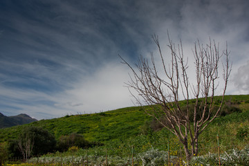 Typical Calabrian countryside hinterland