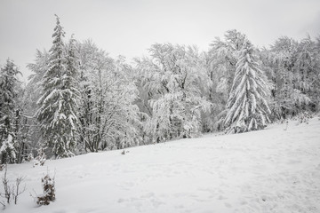 Winter in Beskidy mountains near Szyndzielnia, Klimczok and Blatnia, Beskid Slaski, Poland