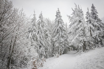 Winter in Beskidy mountains near Szyndzielnia, Klimczok and Blatnia, Beskid Slaski, Poland