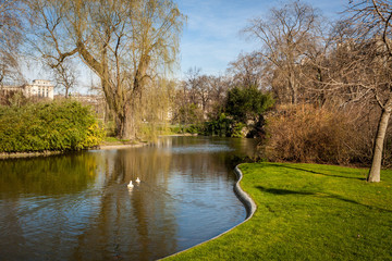 Fototapeta na wymiar Tranquil park with a pond and wildflowers