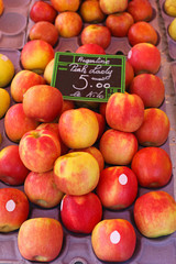 Apples
