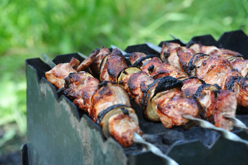 Shish kebab on skewers and hot coals, DOF