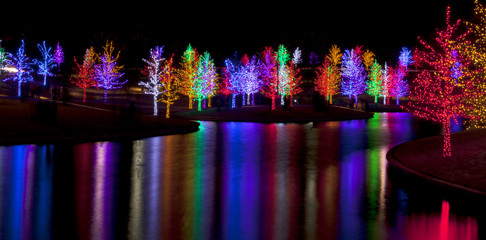 Bäume fest in LED-Lichter gehüllt für die Weihnachtsferien r