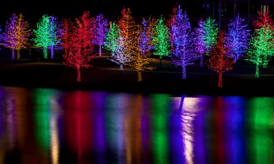 Gordijnen Bomen strak verpakt in LED-verlichting voor de kerstvakantie r © Aneese