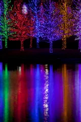 Fotobehang Trees tightly wrapped in LED lights for the Christmas holidays r © Aneese