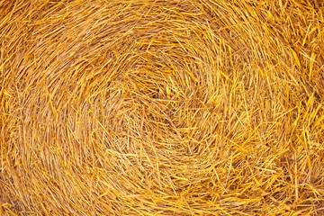 Straw teture