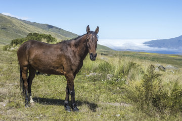 Tafi del Valle lake in Tucuman, Argentina.