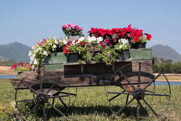 wooden cart full of colorful flowers