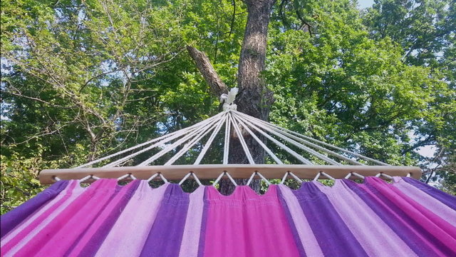 Swinging Hammock