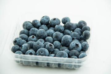 Blueberry fruit on white background