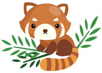 Obraz na płótnie Canvas Red panda