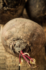 Vegetable beet