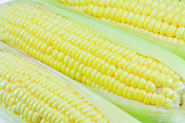 corn