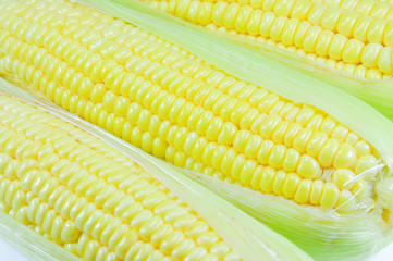 Corn