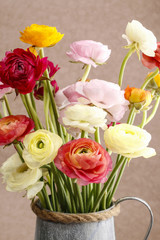 Bouquet of colorful persian buttercup flowers (ranunculus)