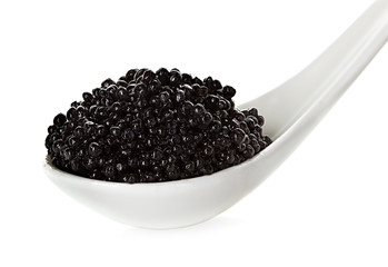 Black caviar in a spoon isolated on white background