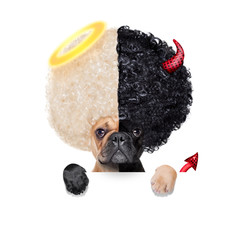good and bad dog