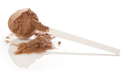 Protein powder