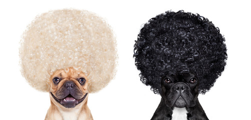 good and bad dogs