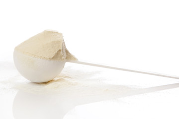 Protein powder