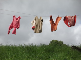 Linge