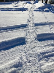 冬の雪道