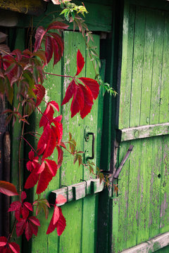 Old wooden door