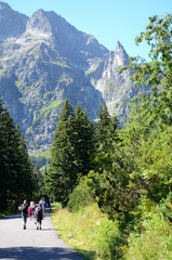 Fototapeta na wymiar Mountain road (Tatras)