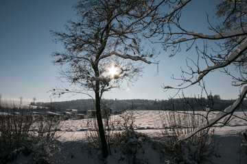 Fehraltorf Winter 1
