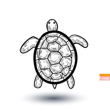 turtle , vector illustration.