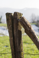 wooden fence