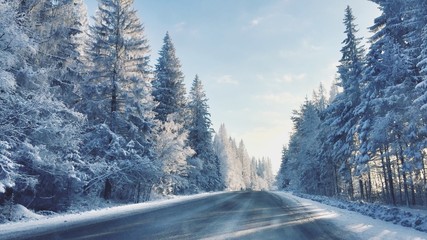 Russian winter road