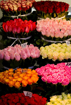 Fototapeta Bouquet of roses