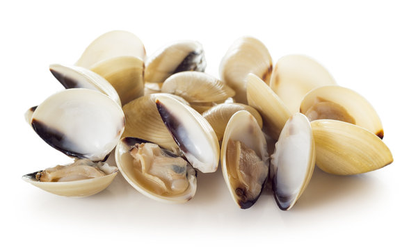 Almejas