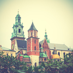 Fototapeta premium Wawel Castle in Krakow