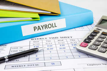 Calculate payroll for employee - obrazy, fototapety, plakaty