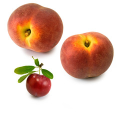 Isolated image of plum and peach