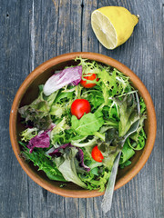 rustic salad greens