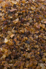 myrrh (Commiphora myrrha)