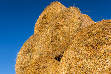 Piled hay bales on a field against blue sky